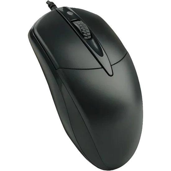 Mouse Wired P-TEC P-11